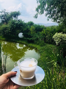 Festivalul TIFF 2018 Cluj Nespresso