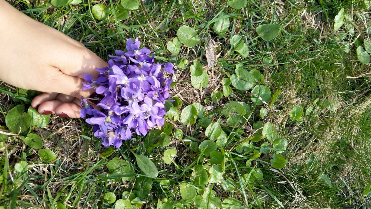 In a violet mood