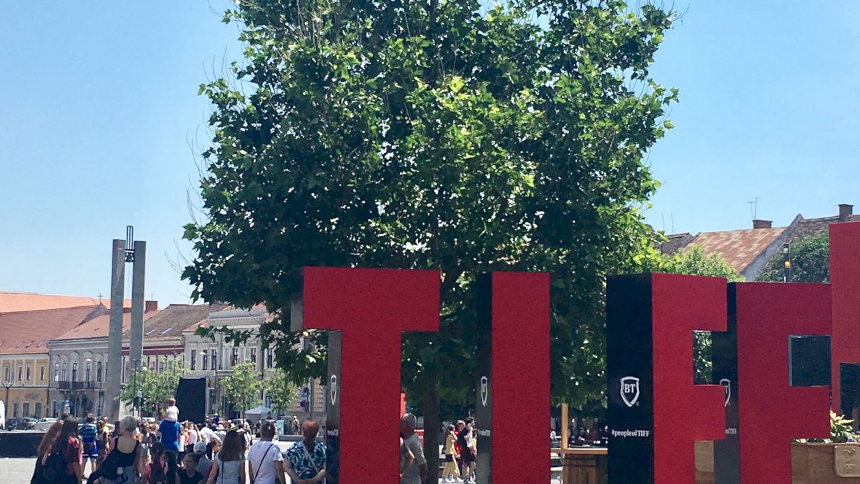 Cum să reziști la TIFF 3 zile și 3 nopți