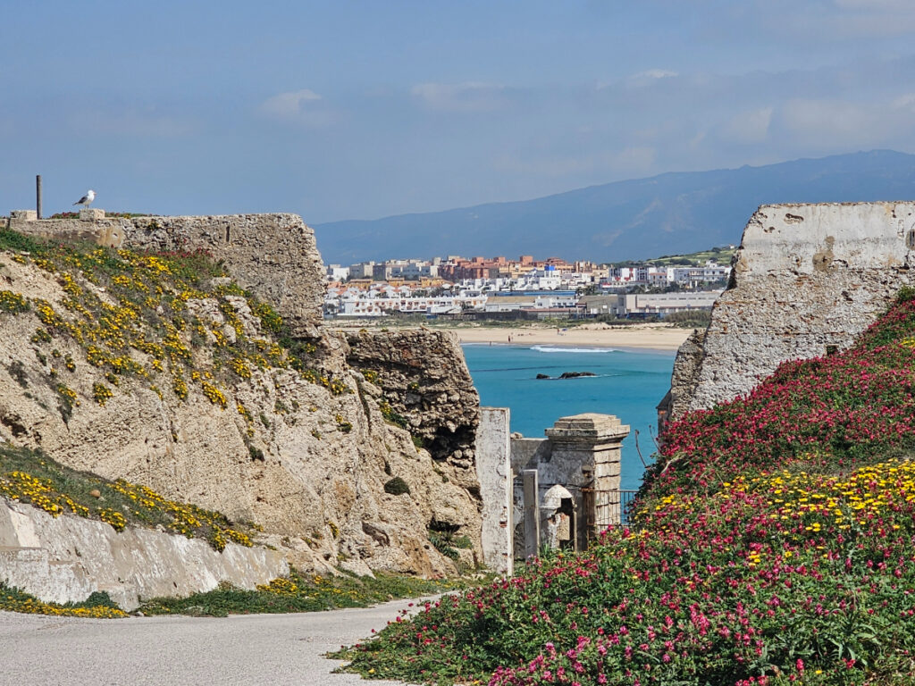 Tarifa