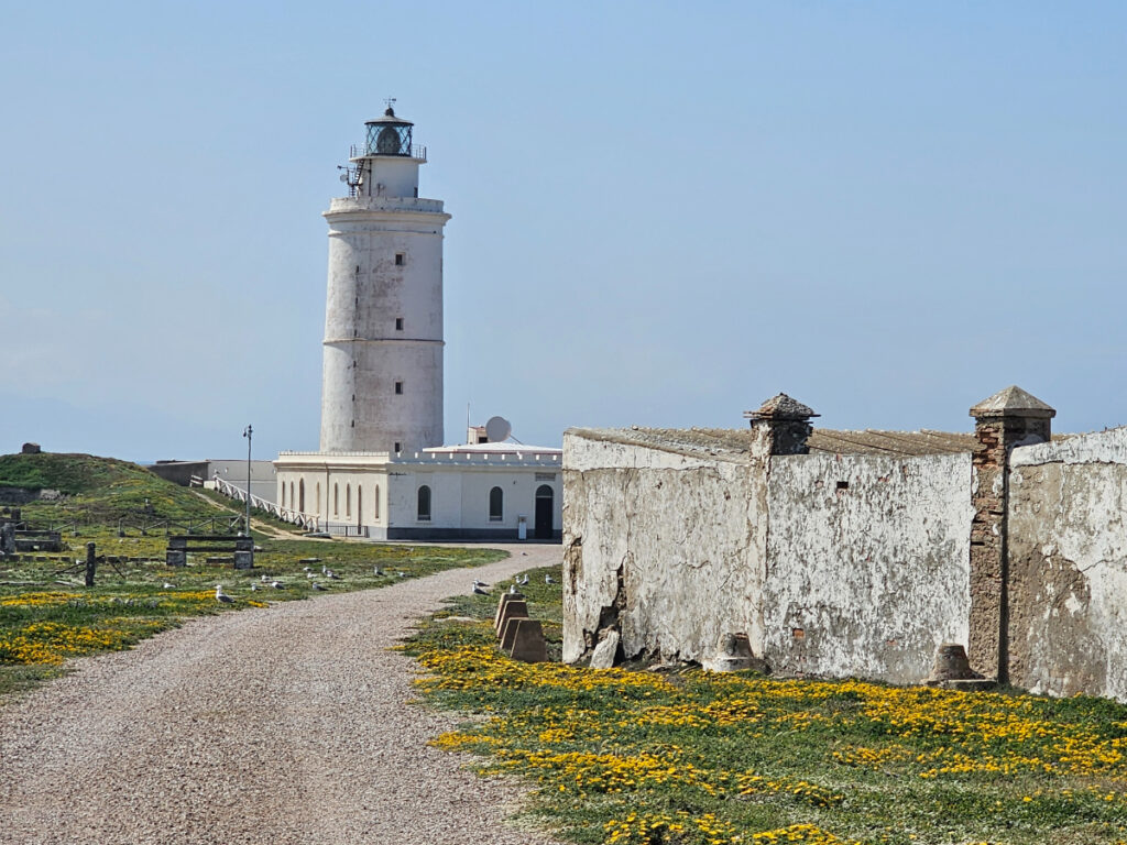 Tarifa